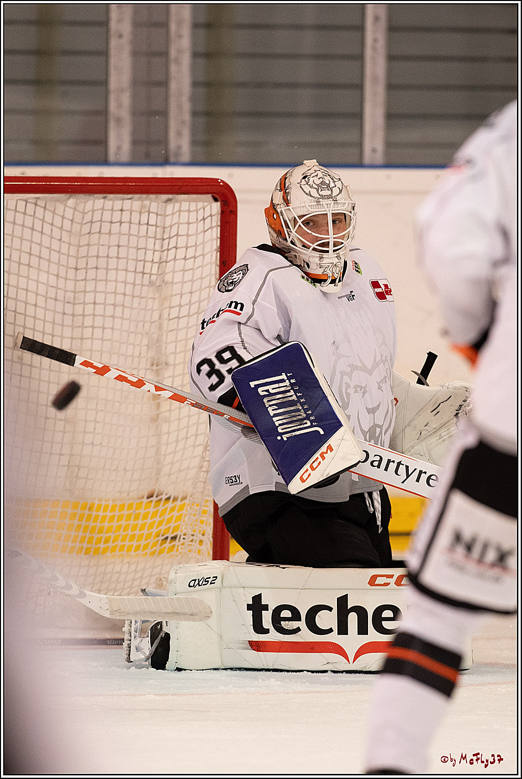 PENNY DEL 1. Testspiel Koelner Haie - Loewen Frankfurt; Koeln, 27.08.2023